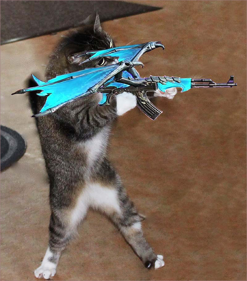 Photo of a cat holding a Vip gun