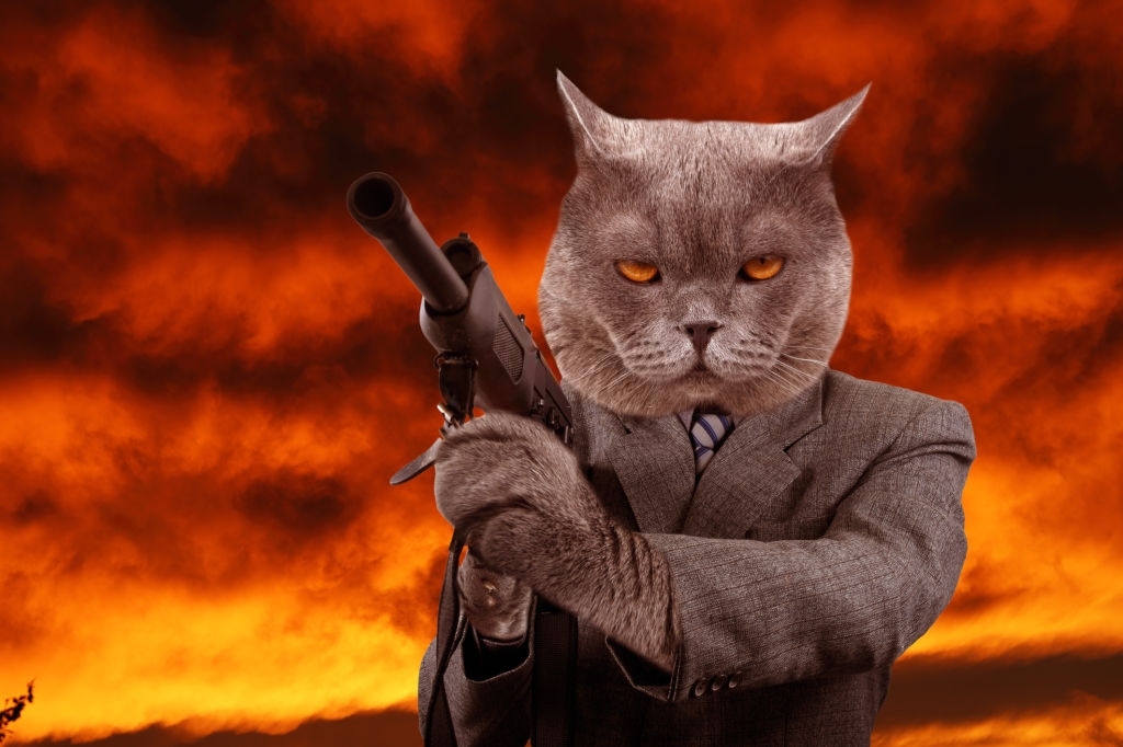 Image of a mafia cat holding a gun
